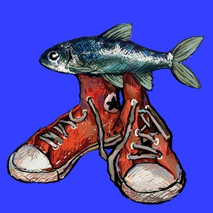 A fish standing on top of a pair of red high-top sneakers, illustrated in a sketchy hand-drawn style against a royal blue background.